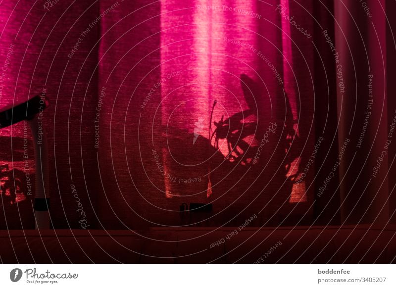 Morgensonne durch Vorhang rot Fenster Stoff Licht Tag Falte menschenleer