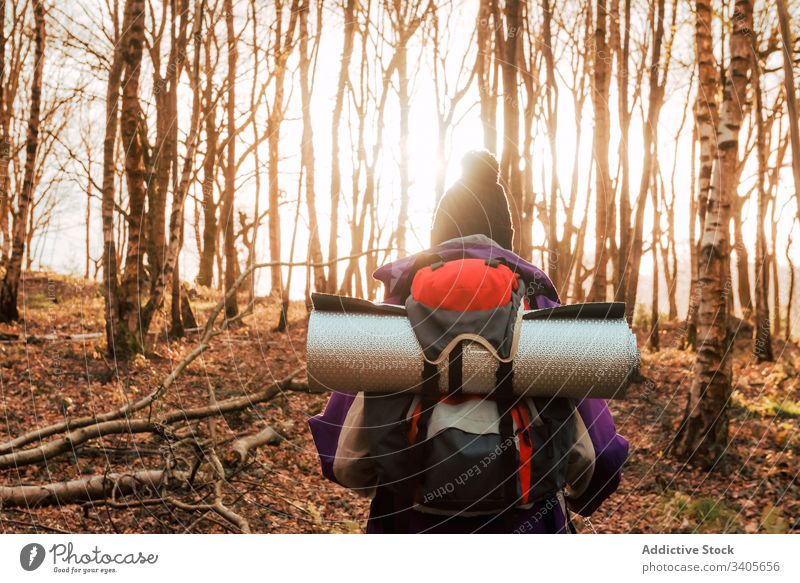 Unerkennbare Backpacker-Trekking im Herbstwald Wald Wanderer Spaziergang Abenteuer Natur Reise Ausflug reisen erkunden Person Umwelt Fernweh Freiheit Feiertag