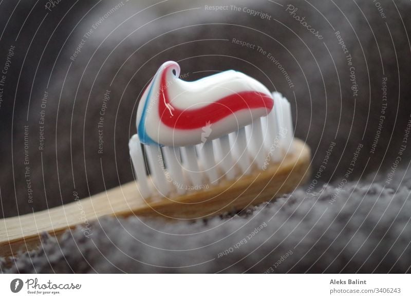 Zahnbürste mit Zahnpasta Zahnpflege Körperpflege Nahaufnahme Zahncreme Gesundheit Reinigen Zahnarzt Zähne dental frisch Gesundheitswesen Sauberkeit Morgen