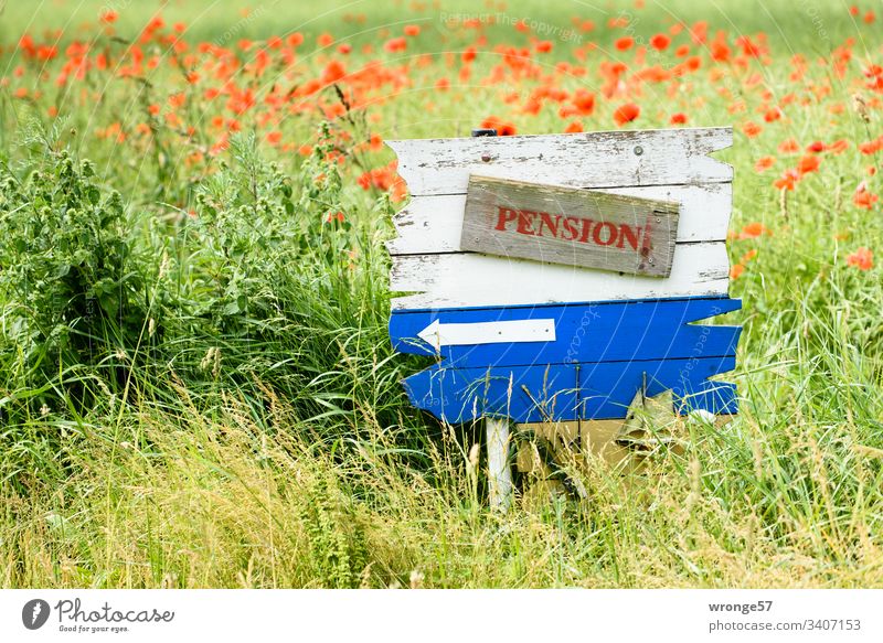 Blau-weiße Holztafel mit einem Hinweis auf eine Pension am Feldrand. Tafel Hinweisschild Hinweise hinweisend Farbfoto Menschenleer Schilder & Markierungen Tag