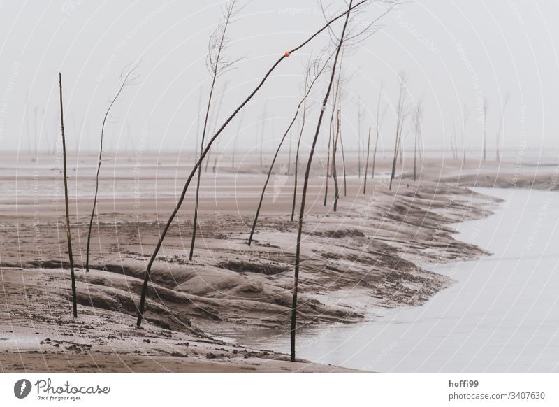 Pricken an Fahrrinne bei Ebbe und Nebel Pfahl Siele Nebelschleier Nebelfeld Nebelstimmung Nebelwand Himmel Nordsee Außenaufnahme Meer Küste Hafeneinfahrt Natur