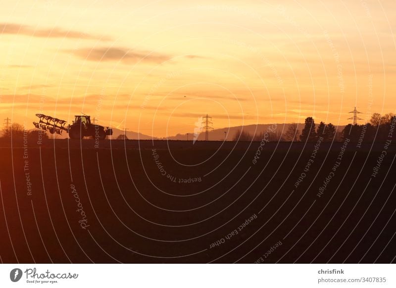 Traktor auf Feld in Abendsonne Sonne Ernte Ertrag Lebensmittel Nahrung Landwirtschaft Umwelt Landschaft Ackerbau Himmel Getreide Arbeit & Erwerbstätigkeit