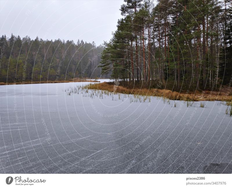 Gefrorenes Wasser vor der Insel im Haukkalampi-See gefroren Natur Himmel nuuksio blau Sonnenaufgang Finnland kalt Winter Eis weiß Wald espoo Hintergrund Schnee