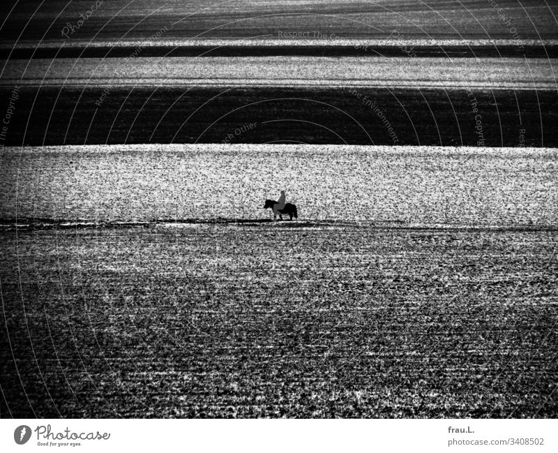 Wer reitet so spät durch Feld und Schnee? Es ist das Mädchen mit seinem Pferd, juchhe. Tier Tag Außenaufnahme Natur Reiten Wege & Pfade Dämmerung