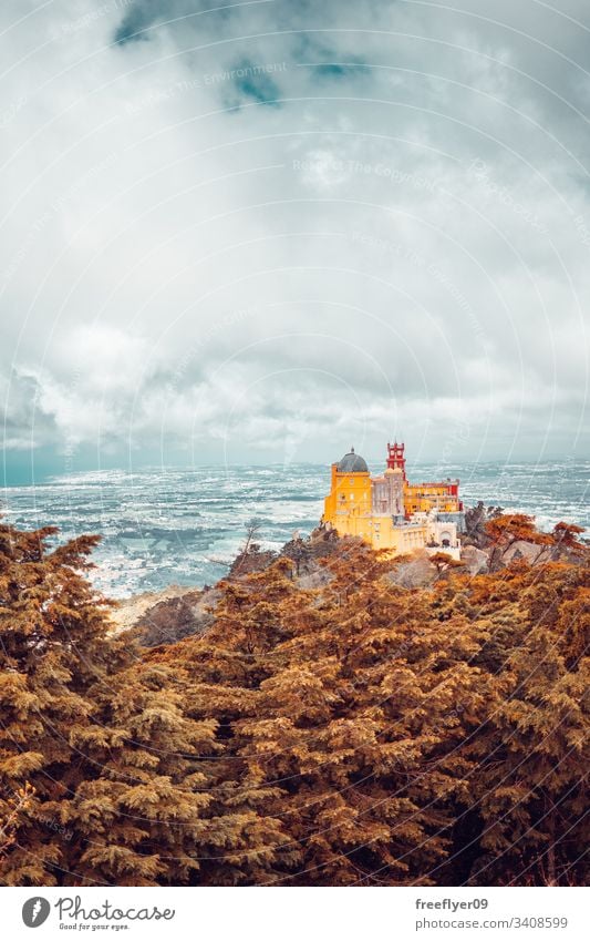 Die Landschaft von Sintra mit dem Palast von Pena auf einem Berg Touristik Museum Wahrzeichen Baum antik romantisch Turm magisch gelb Architektur Portugal