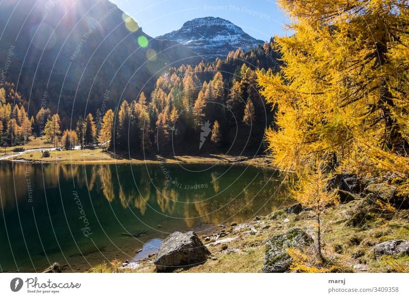 Stiller Bergsee im Goldenen Herbst See Gebirgssee Duisitzkarsee Seeufer Idylle Hoffnung herbstlich verträumt Farbfoto Lebensfreude mehrfarbig träumen Wald