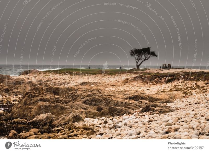 Golfplatz - Pebble Beach - Kalifornien Blick Sonnenlicht Tag Außenaufnahme Menschen abgelegen Dunst Meereslandschaft Küstenstreifen Szene ruhig Wasser Felsen