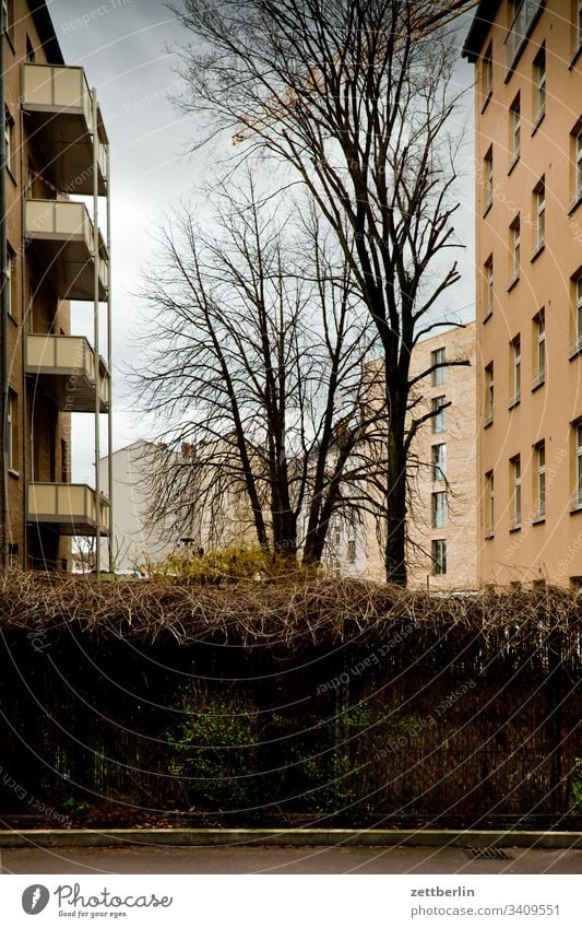 Berliner Hinterhof altbau hinterhaus hinterhof wohnhaus wand mauer brandmauer wohngebiet wohnen stadt innenstadt textfreiraum mietshaus mehrfamilienhaus