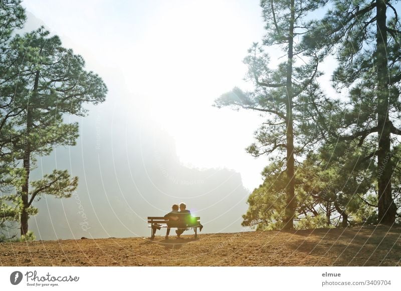 Blick auf die Caldera de Taburiente La Palma erholen relaxen Ausblick Bank Wanderer wandern Urlaub Wandergebiet Baum Gegenlicht Licht lichtdurchflutet Ferne