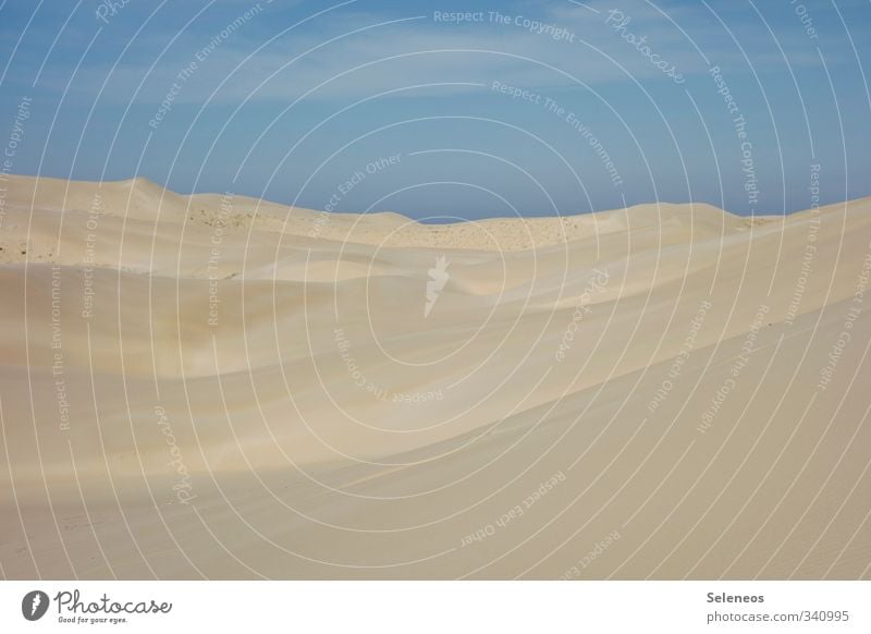 Ruhe bewahren Erholung ruhig Ferien & Urlaub & Reisen Tourismus Ausflug Abenteuer Ferne Sommer Sommerurlaub Sonne Strand Umwelt Natur Landschaft Himmel Wolken