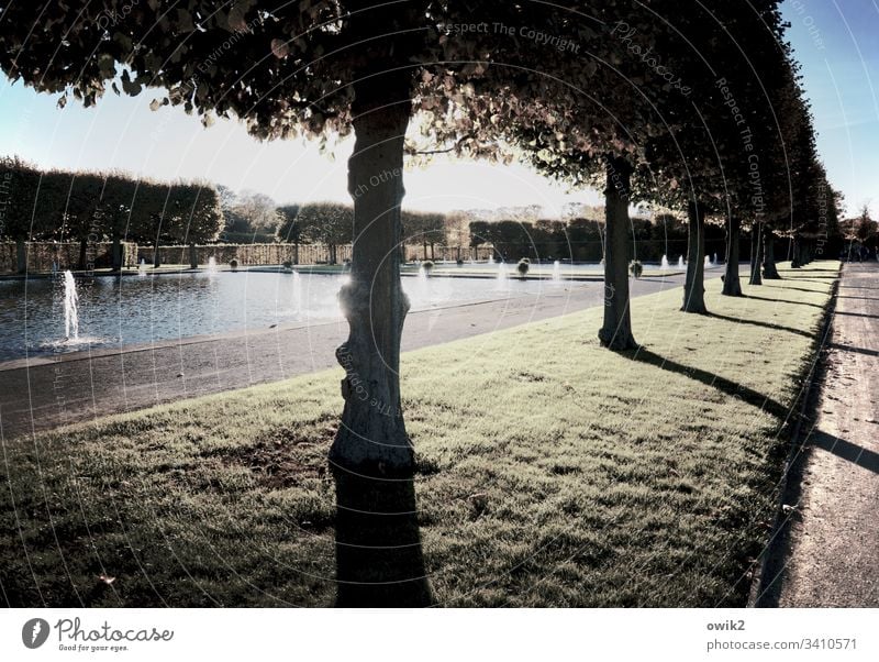 Promenade mit Seeblick Hannover Park vornehm Herrenhäuser Gärten Sehenswürdigkeit sehenswert schönes Wetter Garten Landschaft Baum Licht Menschenleer Natur