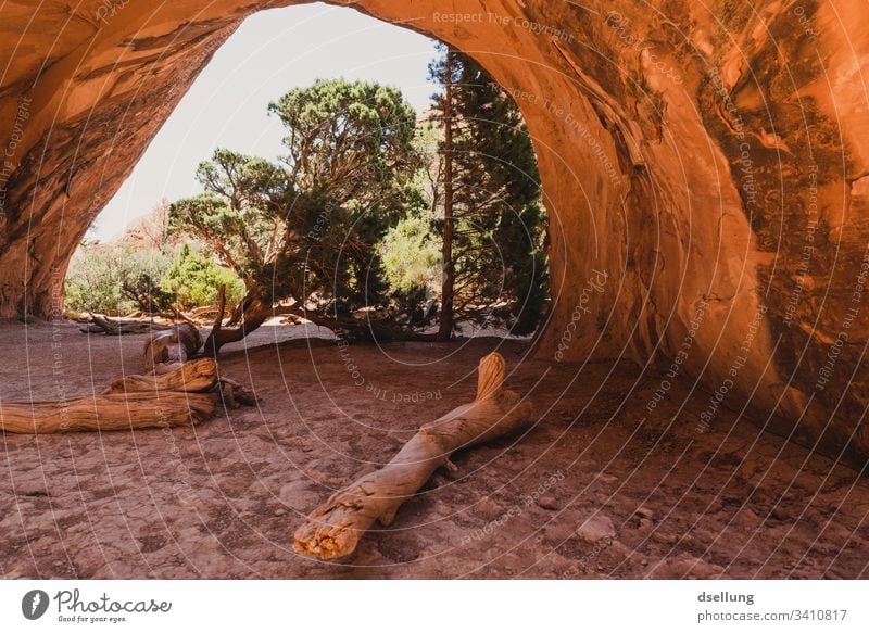 Sonneneinstrahlung in einer Höhle in orange USA Ferien & Urlaub & Reisen Landschaft Stein Felsen Außenaufnahme Tourismus Farbfoto Erosion Menschenleer Natur