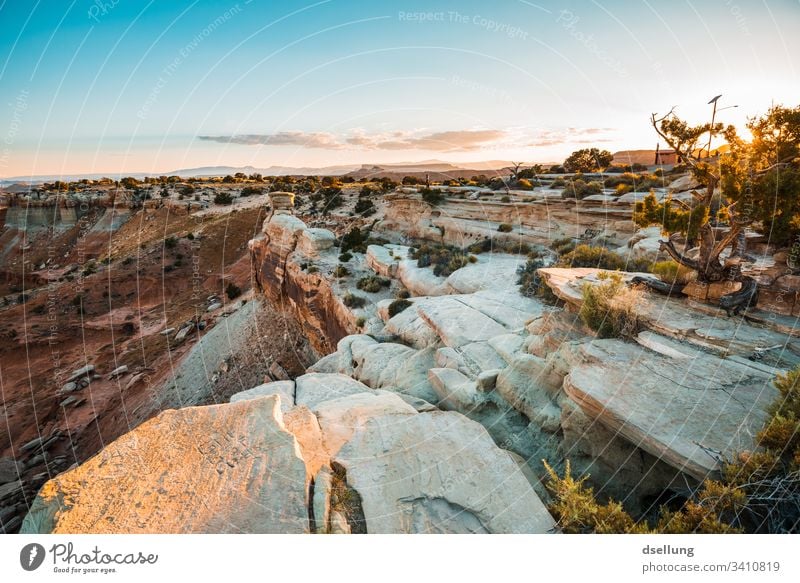 Büsche auf felsigem Boden in tief stehender Abendsonne Landschaft Busch Sonnenuntergang Himmel Wolken Schönes Wetter Wärme Zufriedenheit Sonnenaufgang Natur