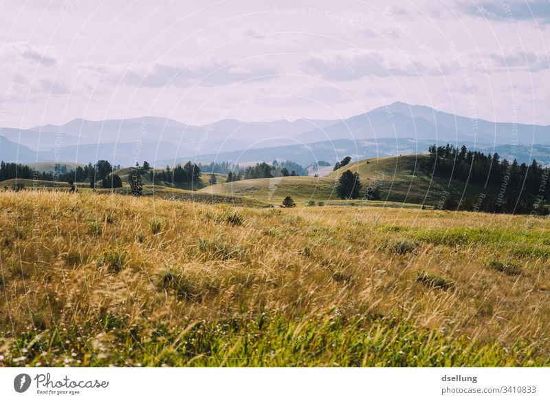 Hügelige Landschaft über mehrere Schichten mit Wiese im Vordergrund grün Idylle Ruhe Gelassenheit Berge Erholung Außenaufnahme Ferien & Urlaub & Reisen Farbfoto