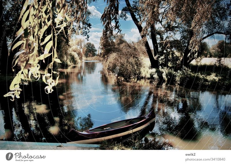 Kleiner Spreewald bei Wahrenbrück Landschaft Fluß Ruhe Stille friedlich Idylle Wasser Boot Ruderboot Baum Zweig Reflexion & Spiegelung ruhig Menschenleer Umwelt