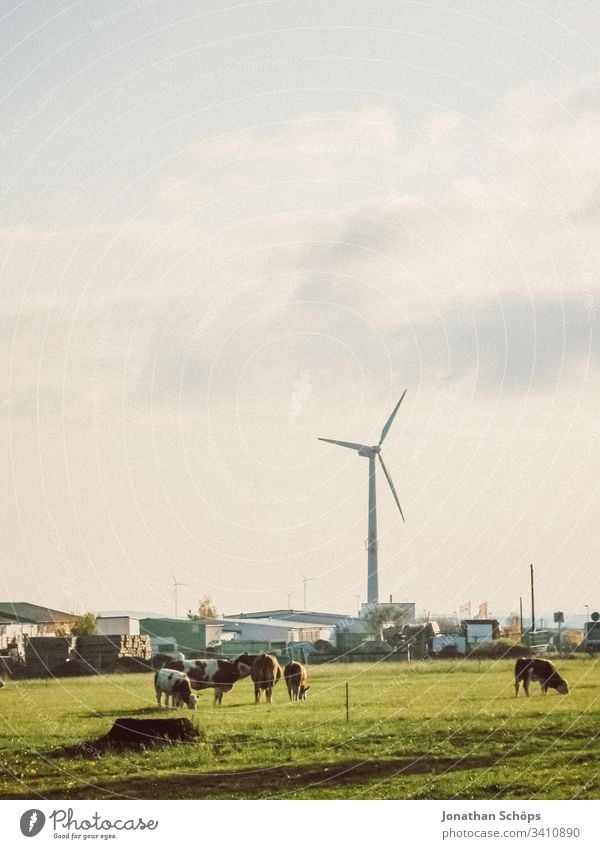 ökologisches Windkraftwerk mit erneuerbarer grüner Energie auf einem Feld in der Abendsonne Herbst alternativ Hintergrund blau Wandel & Veränderung Sauberkeit