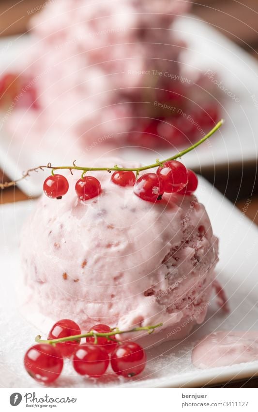 Nahaufnahme von Johannisbeereis auf dem Teller Eis Speiseeis Sahne Essen Ball Dessert Sommer lecker frisch Schaufel Erfrischung Vanille Kokosnuss Geschmack Holz