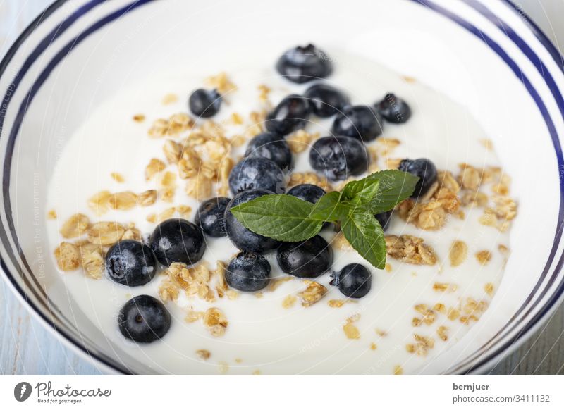 Heidelbeeren mit Müsli und Joghurt in einer Schüssel Heidelbeermüsli Jogurt Vegetarisch Haferflocken fruchtig Blaubeere nahrhaft Protein Frische oben Morgen