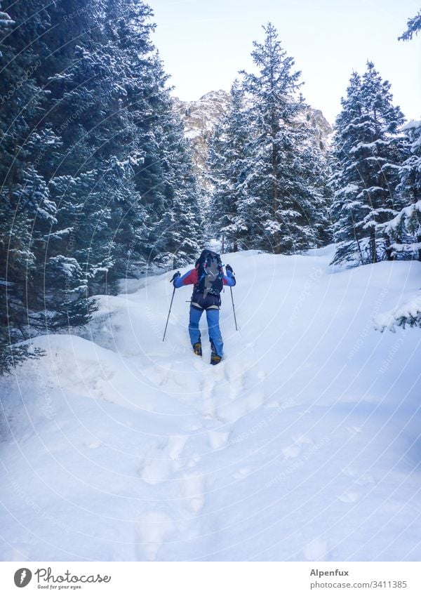 Prepper flieht, voll ausgerüstet, aus Angst vor dem Corona-Virus, für drei Wochen in die Wildnis Wanderer Schnee Abenteuer Winter Berge u. Gebirge Trekking