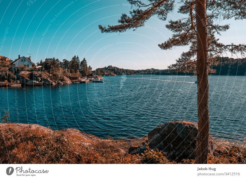 Ein kleiner See im Süden von Norwegen Norden Himmel Raues Wasser Steg Abend Landschaft Fluss survival Zelten Natur Stadt Dorf clouds Abenddämmerung Baum