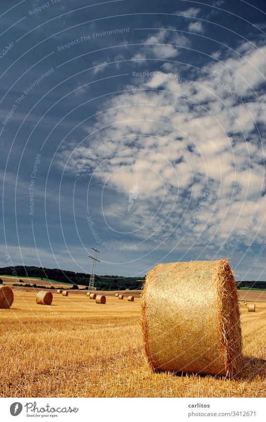 Strohrollen halten Mindestabstand ein Strohballen Landwirtschaft Sommer Herbst Feld Landschaft Wolken Ernte gelb Getreide Wärme Schönes Wetter Nutzpflanze Gold