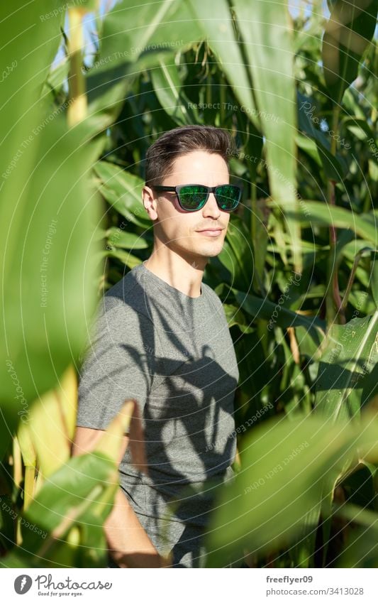 Junger Mann mit Sonnenbrille auf der Innenseite eines Maisfeldes Boden Laubwerk im Freien Person Menschen Blatt Nahaufnahme Ackerbau Reihe panoramisch Saison