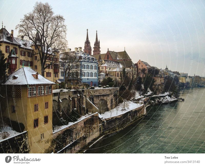 Basler Flussufer Basel Rhein Farbfoto Außenaufnahme Wasser Landschaft Baum Kathedrale Basler Münster Wahrzeichen Sehenswürdigkeit Stadt Skyline Schweiz