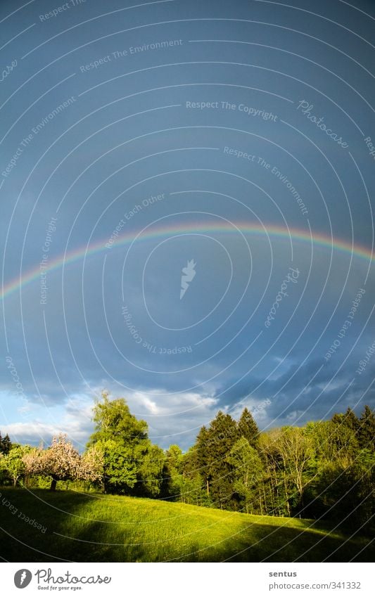 Regenbogen Umwelt Natur Landschaft Frühling Schönes Wetter außergewöhnlich Freude Fröhlichkeit Zufriedenheit Lebensfreude Frühlingsgefühle Stimmung Farbfoto