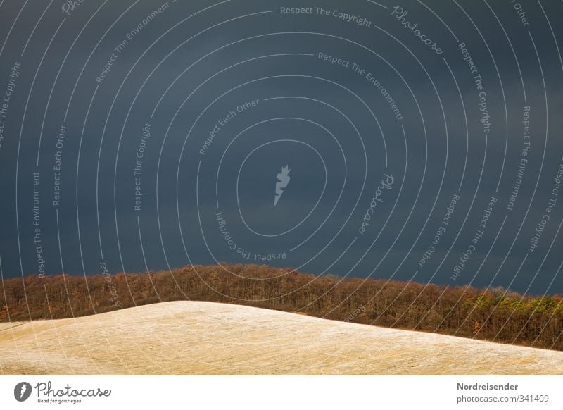 Anstehendes Wetter Landschaft Urelemente Himmel Gewitterwolken Herbst Klima Klimawandel schlechtes Wetter Unwetter Sturm Feld Wald rennen bedrohlich dunkel