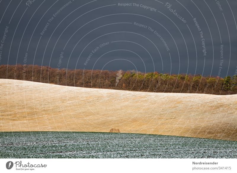 Es wird Schnee geben.... Sinnesorgane Landwirtschaft Forstwirtschaft Natur Landschaft Pflanze Urelemente Himmel Gewitterwolken Herbst Klima schlechtes Wetter