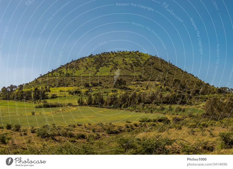 Bewaldeter Hügel in der Form Afrika Kenia blau blauer Himmel Aufstieg Cloud Depression fallen Wald Gras grün Wanderung Reise Landschaft lieblich Ahorn