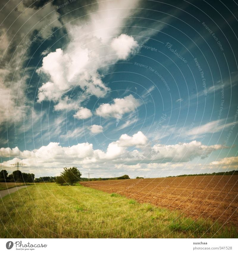 auszeit Umwelt Natur Landschaft Pflanze Urelemente Erde Luft Himmel Wolken Horizont Sommer Klima Wetter Schönes Wetter Gras Feld Unendlichkeit ruhig Farbfoto