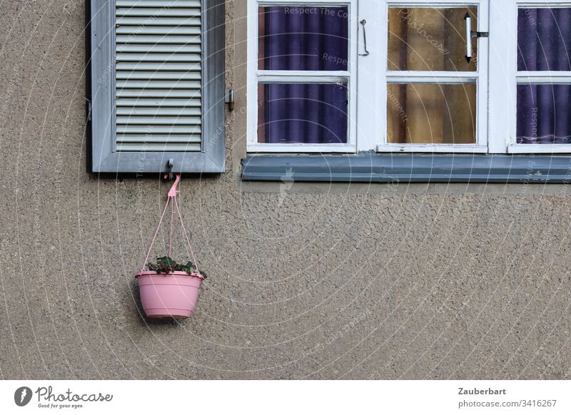 Sprossenfenster, weißer Rahmen, Fensterladen und rosa Blumenkorb vor grauer Fassade Fensterrahmen weiss Korb hängen Haus Idylle Häusliches Leben Außenaufnahme