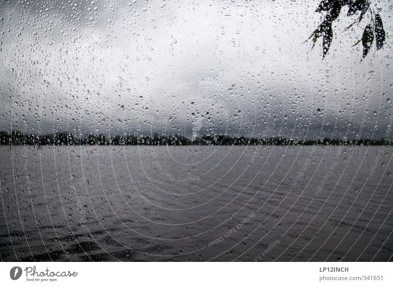 Waiting for the sun. II Natur Tier Wasser Wassertropfen Himmel schlechtes Wetter Regen Glas warten dunkel kalt See Fluss Ferien & Urlaub & Reisen Farbfoto