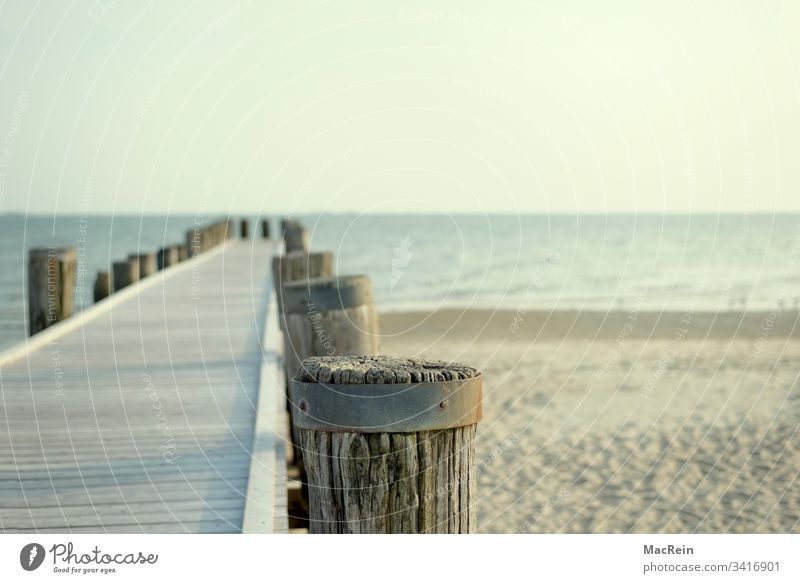 Laufsteg zum Meer laufsteg strand meer Duhnen urlaub ferien holzpfosten niemand textfreiraum nordsee ostsee sylt norderney amrum büsum föhr helgoland wasser