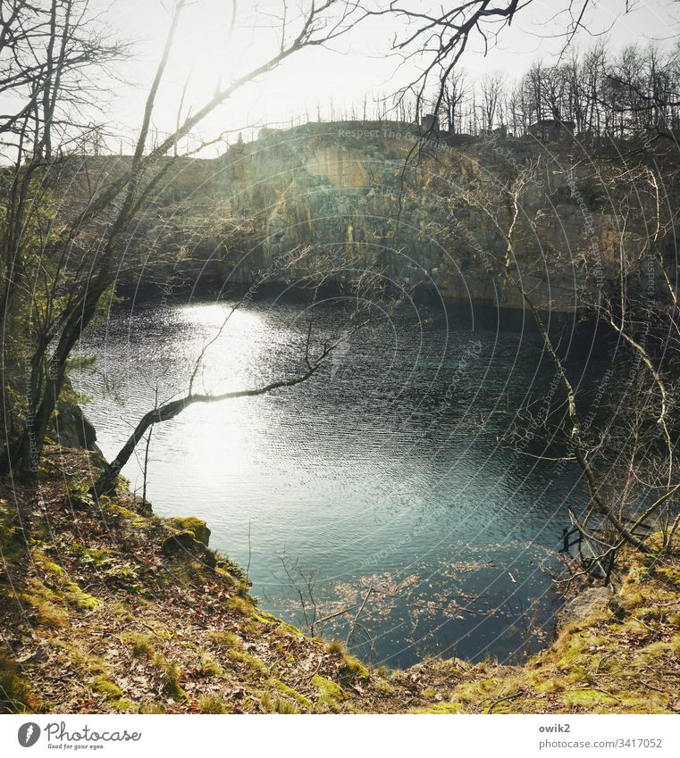 Alter Steinbruch See Steilküste Bäume Äste und Zweige Sonnenlicht Gegenlicht Baum Natur Farbfoto Menschenleer Licht Tag Kontrast Wald Sonnenstrahlen