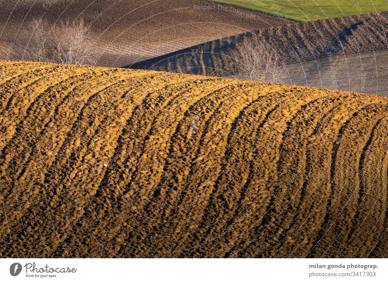 Ländliche Landschaft der Region Turiec in der Nordslowakei. Slowakische Republik ländlich Bereiche Frühling Ackerbau Natur Baum