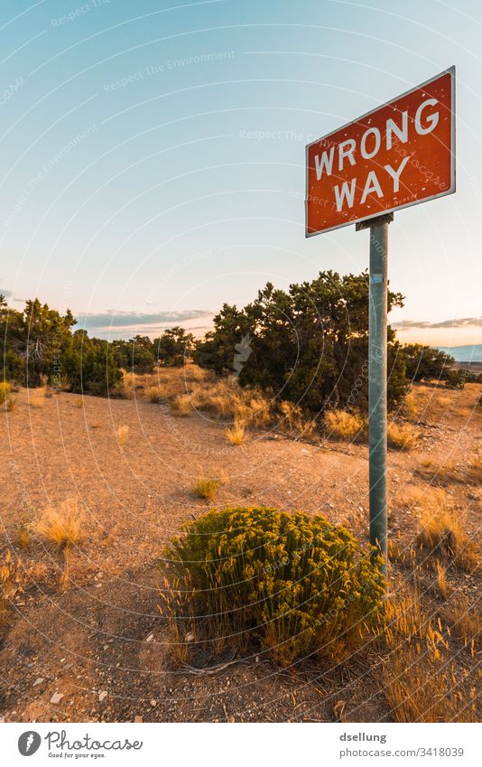 Schild Falscher Weg inmitten von Büschen und Bäumen Weitwinkel Panorama (Aussicht) Totale Dämmerung Abend Textfreiraum oben Außenaufnahme Farbfoto Warnung