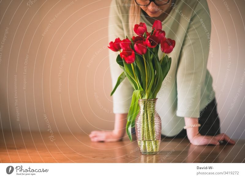 Frau riecht an roten Tulpen Junge Frau Freude Frühling Muttertag verliebt Lebensfreude Sonnenlicht Frühlingsblume duften Vase Frühlingsfarbe Blume sanft grün