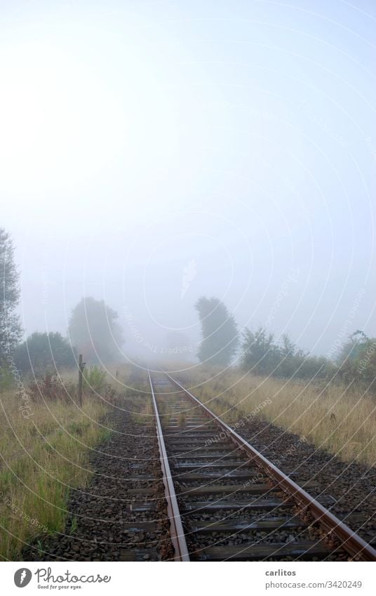 Es fährt ein Zug nach Nirgendwo .... Bahn Eisenbahn Schienen Fluchtpunkt Ungewissheit Angst Existenzangst Schotter Gleisbett Büsche Verkehr Gleise