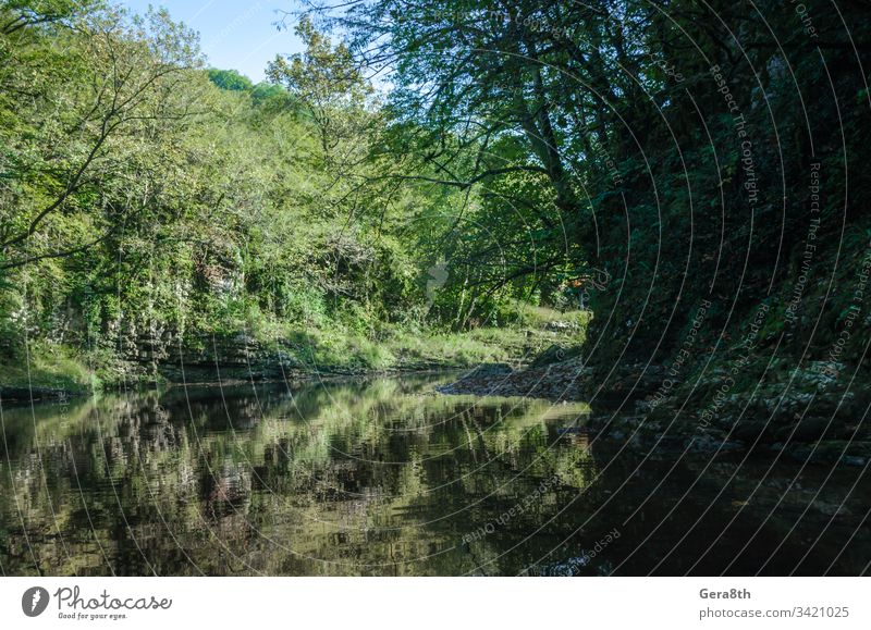 Bergflussufer und grüne Bäume in der Martville-Schlucht in Georgien im Herbst Batumi Kaukasus Martvili Hintergrund hell Klippe Klima Küste Farbe Tag Umwelt