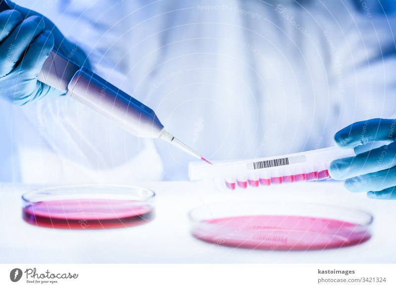 Detail eines Wissenschaftlers, der im Labor für die Entwicklung von Koronaviren-Impfstoffen mit einem Höchstmaß an Schutzausrüstung forscht. Corona-Virus