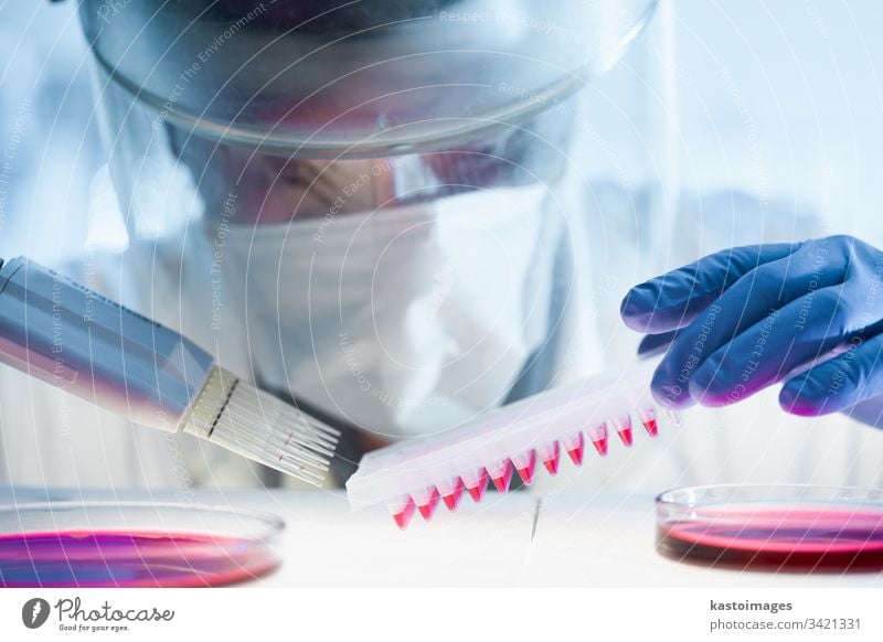 Wissenschaftlerin, die im Labor für die Entwicklung von Koronaviren-Impfstoffen forscht, mit einem Höchstmaß an Schutzausrüstung. Corona-Virus forschen covid-19