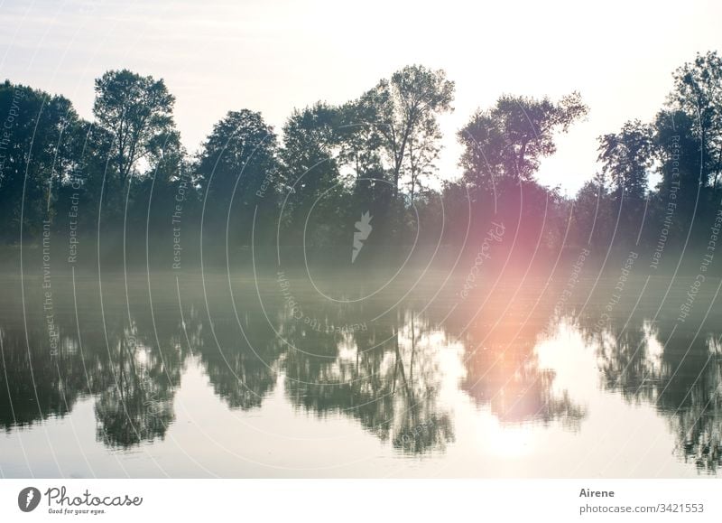 Inn(en)ansicht Spiegelung im Wasser früh Morgen Inntal Fluss Morgennebel neblig Morgenstimmung Nebel Sonnenlicht Wald Einsamkeit Wasserspiegel Teich