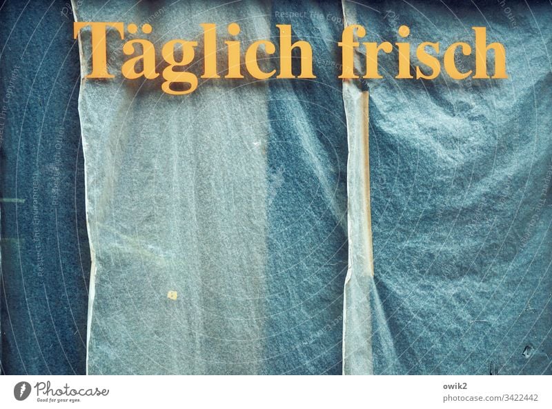 Leuchtreklame Geschäft Schaufenster Werbung Buchstaben frisch Typographie Farbfoto Wand Fenster Detailaufnahme Außenaufnahme Schilder & Markierungen