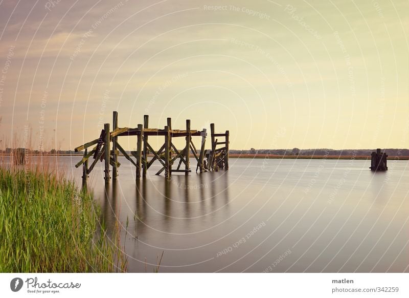 der alte Anleger Natur Landschaft Pflanze Wasser Himmel Wolken Horizont Sonnenaufgang Sonnenuntergang Wetter Schönes Wetter Küste Menschenleer blau grün