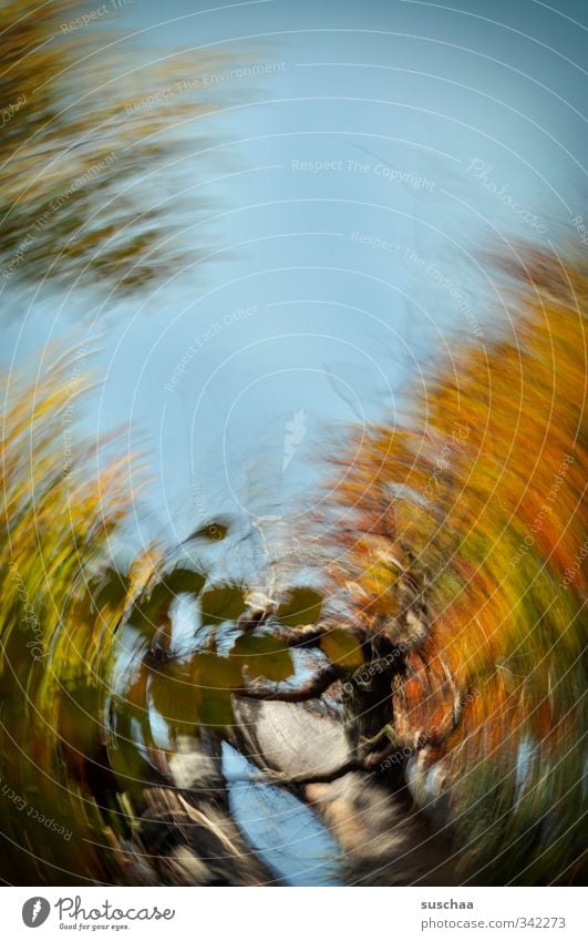 bärensee 2012 Kunst Kunstwerk Gemälde Umwelt Natur Luft Himmel Herbst Klima Wind Baum Blatt außergewöhnlich Geschwindigkeit mehrfarbig Herbstlaub Dynamik