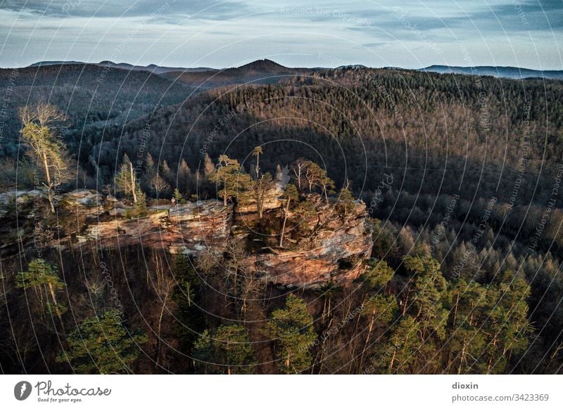 Felsformation aus Buntsandstein inmitten eines bewaldeten Mittelgebirges Felsen Stein Berge u. Gebirge Landschaft Natur Außenaufnahme Felswand Pfälzerwald