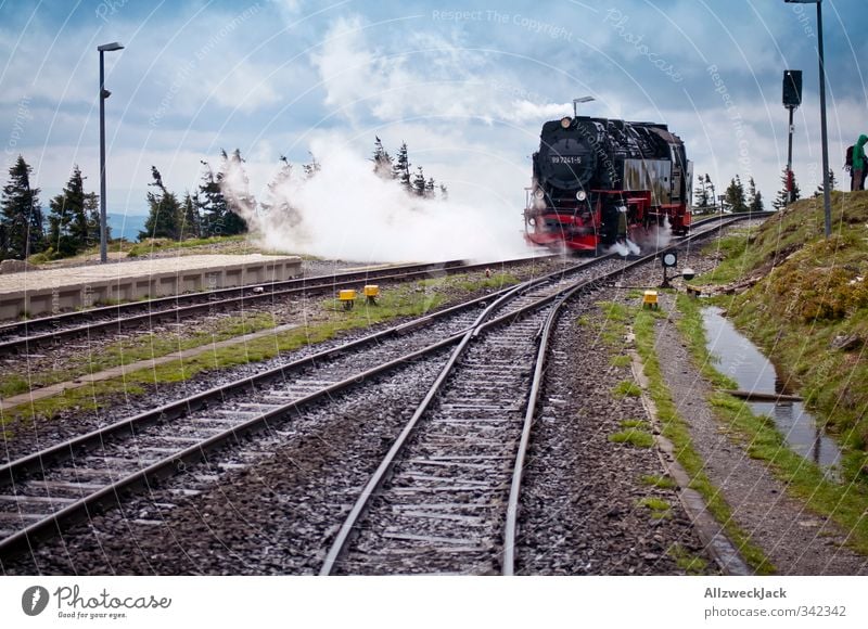 Einfache Fahrt, zwanzig Euro Natur Frühling Wind Berge u. Gebirge Brocken Harz Schienenverkehr Bahnfahren Lokomotive Dampflokomotive Gleise Weiche Schienennetz