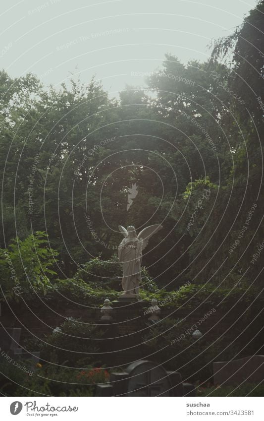 engelstatue auf einem friedhof Engel Statue Natur Bäume Park Friedhof Gräber Grabstätte Tod Wiedergeburt Trauer Ruhe Einsamkeit friedvoll Religion & Glaube